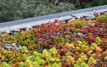 the cost of Throsk green roof installation