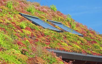 Throsk living roof systems