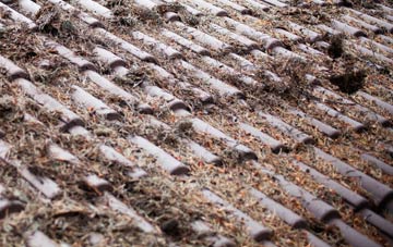 Throsk roof cleaning companies