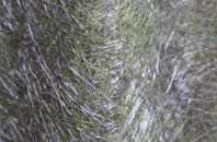 Throsk fibreglass roof work